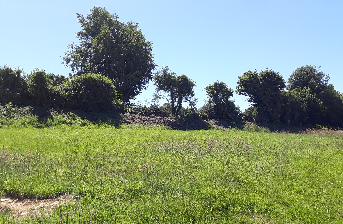 NormandieAmenagement-Terrainsabatir-avendre-Cherbourg-Grimesnil-1200-9