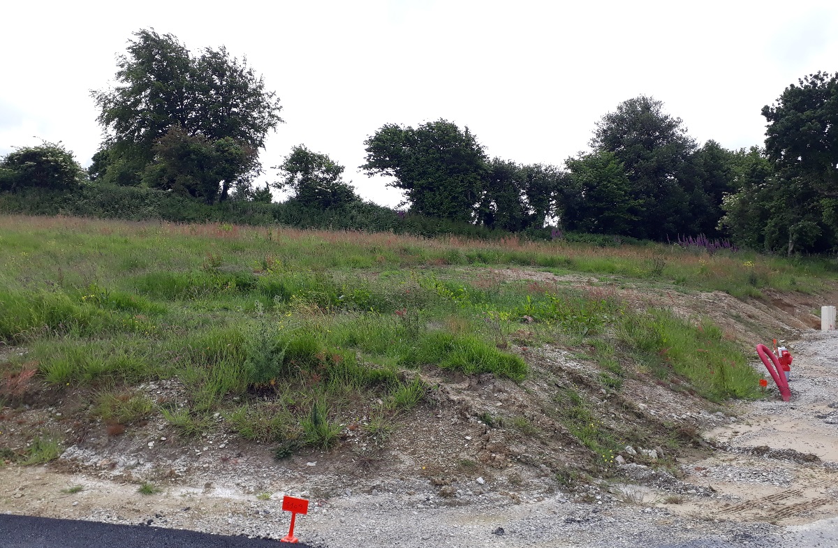 NormandieAmenagement-Terrainsabatir-avendre-Cherbourg-Grimesnil-10C-1200