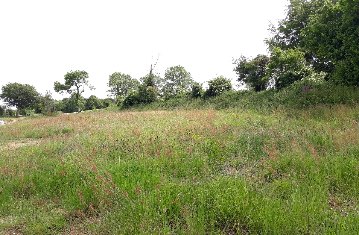 NormandieAmenagement-Terrainsabatir-avendre-Cherbourg-Grimesnil-10C-1200